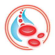 Denver Cellular Therapy