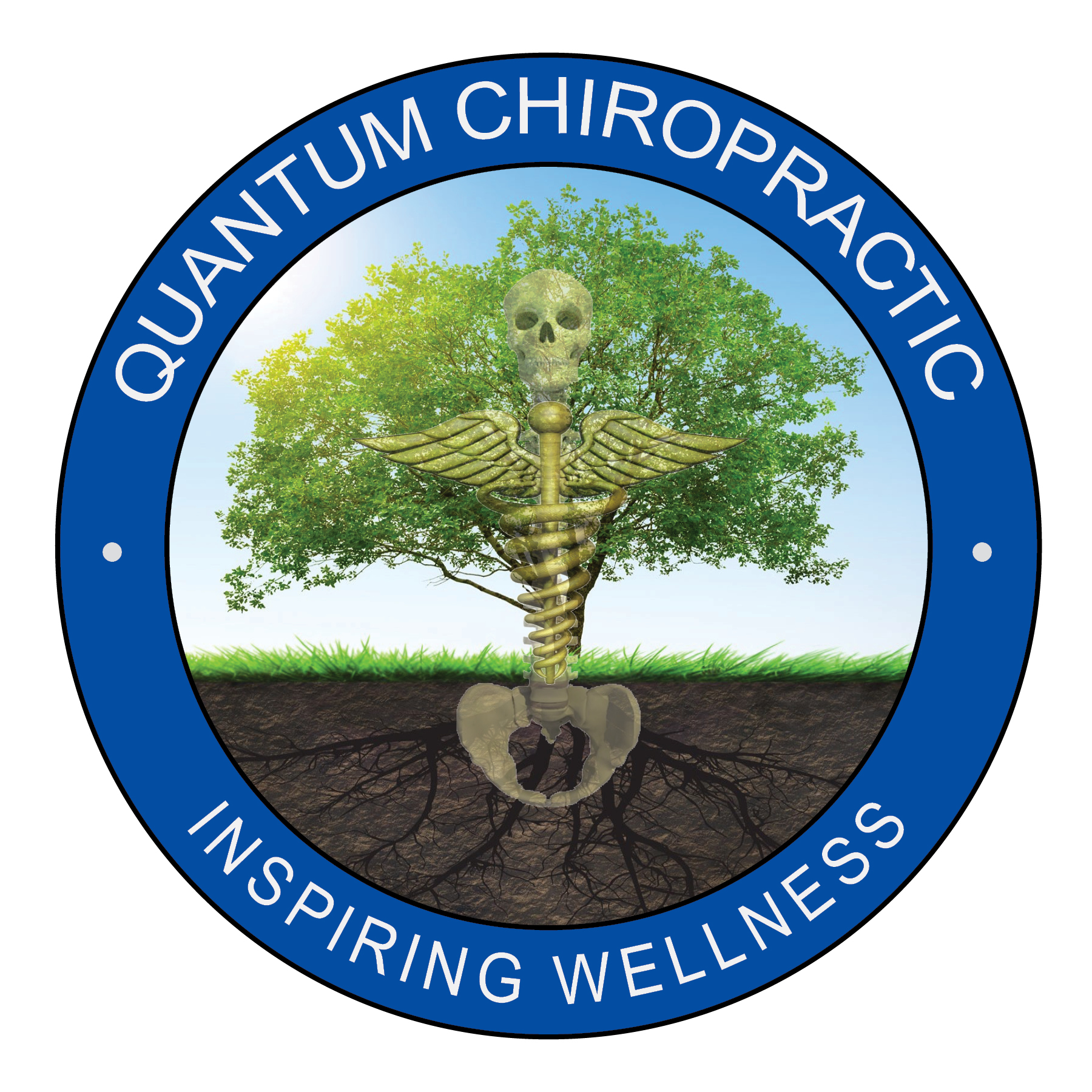 Quantum Chiropractic