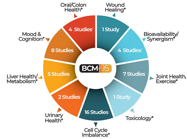 BCM-95