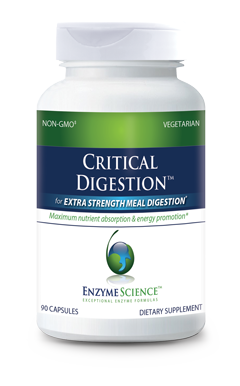 Critical Digestion® 90 Capsules