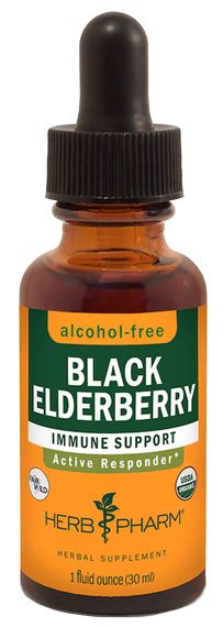 BLACK ELDERBERRY ALCOHOL FREE 1 fl oz